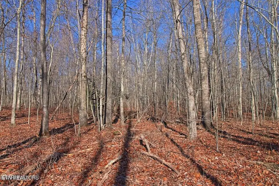 72 Acres Cole Place Rd, Allardt, TN 38504 - #2