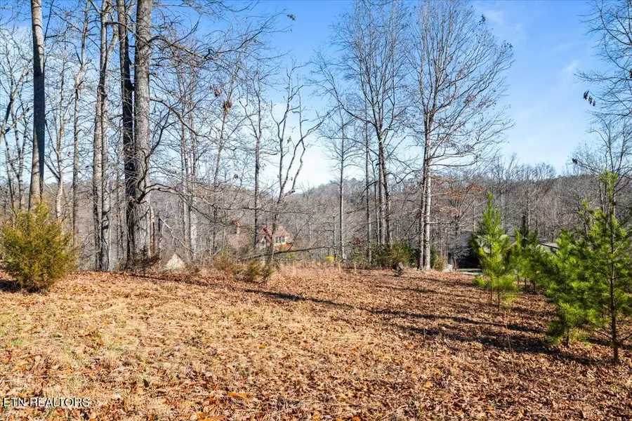 Foxwood Drive, Caryville, TN 37714 - Image #2