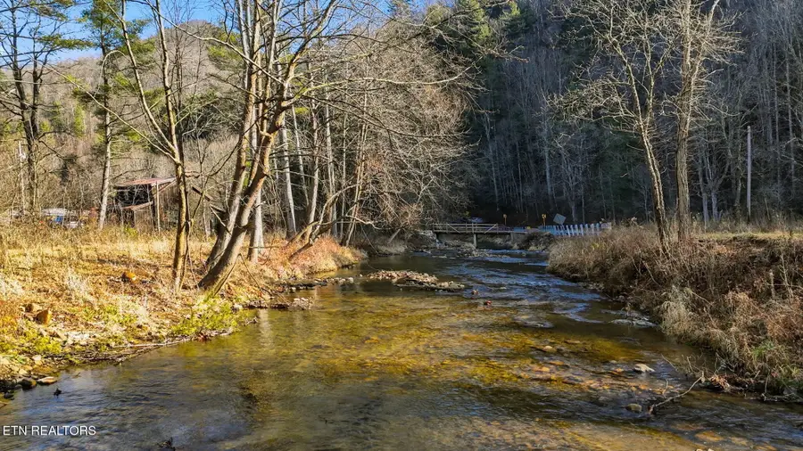 8485 N Highway 91 N, Laurel Bloomery, TN 37680 - Image #3