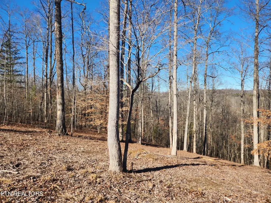 Lot 52 E Poplar Lane, Lafollette, TN 37766 - Image #2