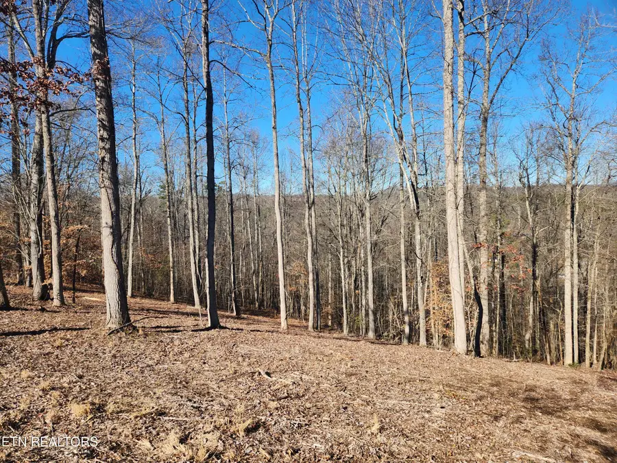 Lot 52 E Poplar Lane, Lafollette, TN 37766 - Image #3