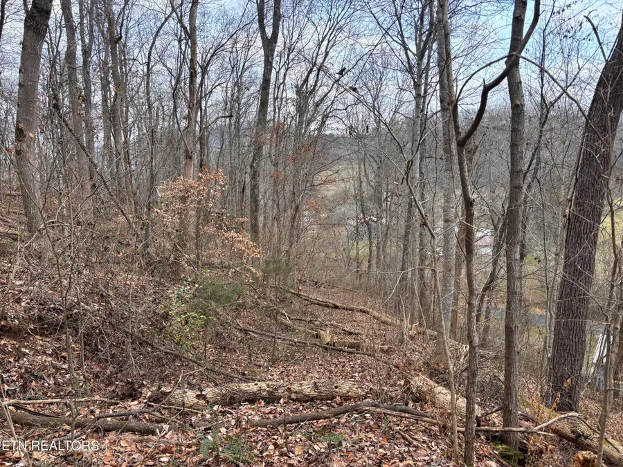Mcgaha Hollow Rd, Dandridge, TN 37725 - Image #2