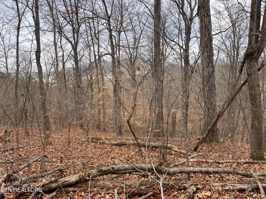 Mcgaha Hollow Rd, Dandridge, TN 37725 - Image #3