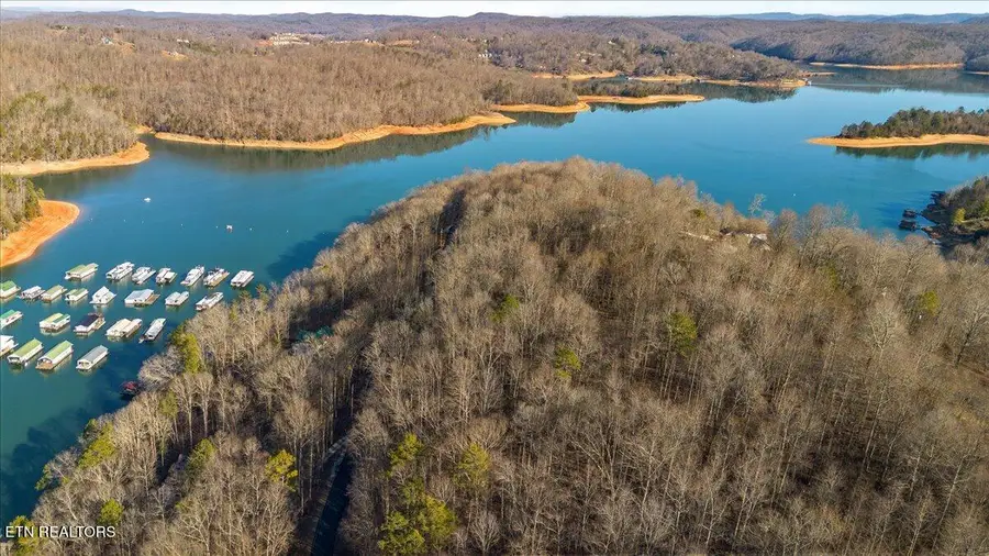 Shanghai Landing Lane, Lafollette, TN 37766 - #3