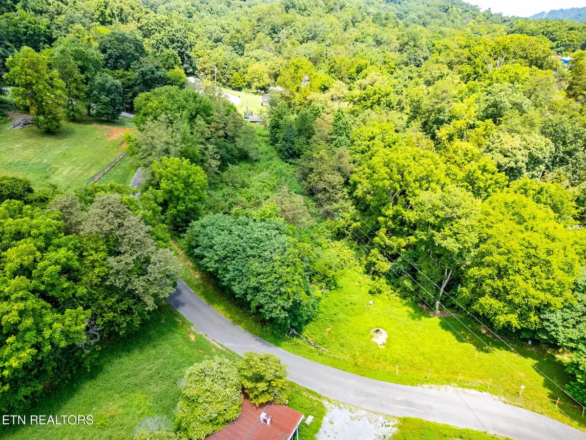 Lot 7 Jeffrey Lane, Talbott, TN 37877 - #1