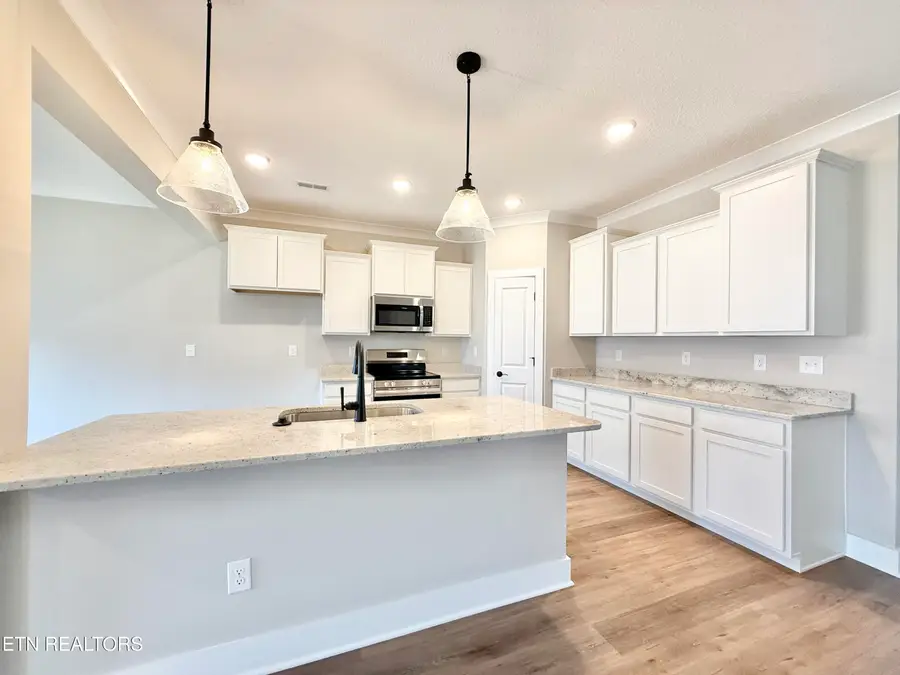 3209 Song Sparrow Drive, Maryville, TN 37803 - #3