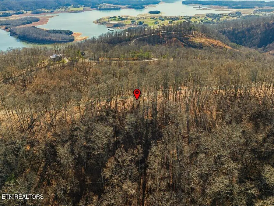 141 Chelaque Way, Mooresburg, TN 37811 - Image #3