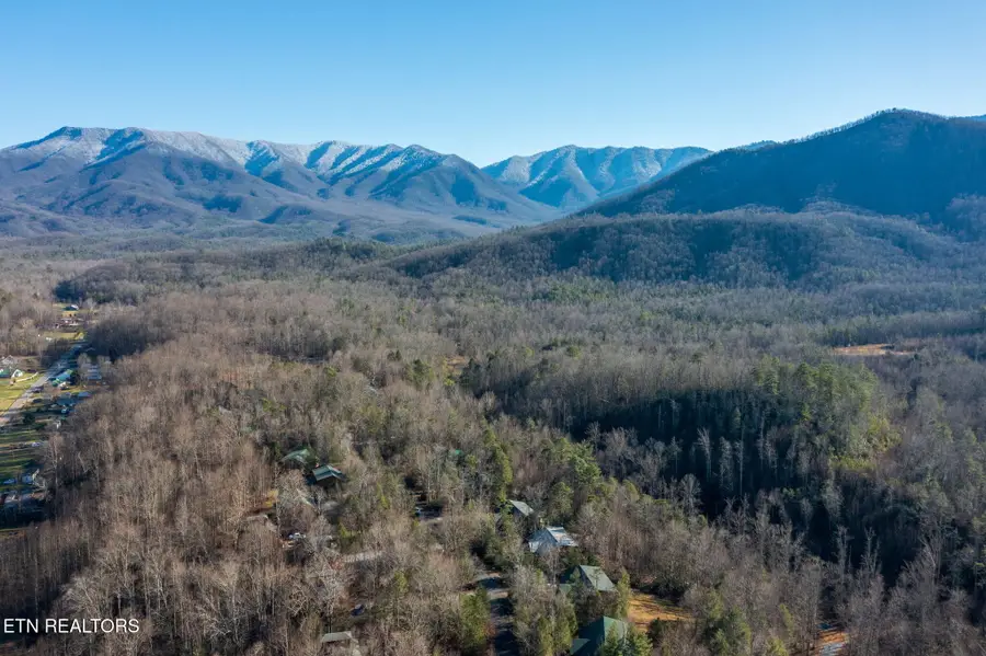 213,222223 Amet Way, Cosby, TN 37722 - Image #2