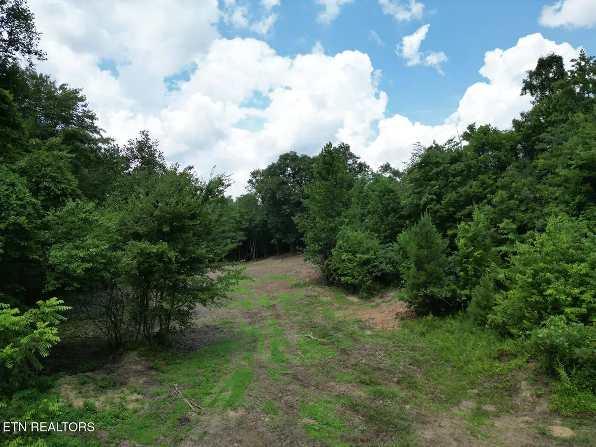 Sheep Ranch Rd, Robbins, TN 37852 - Image #1