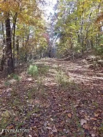 00 Tammy Trail, Spring City, TN 37381