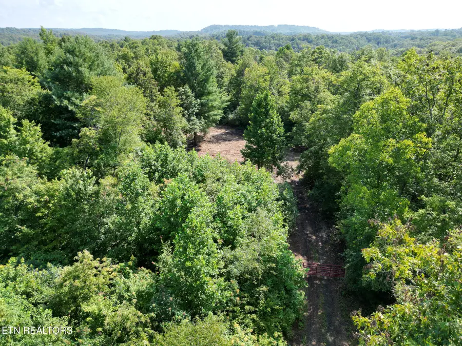 000 Sheep Ranch Rd., Robbins, TN 37852 - #2