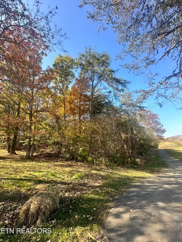 Wedge Way, Tazewell, TN 37879