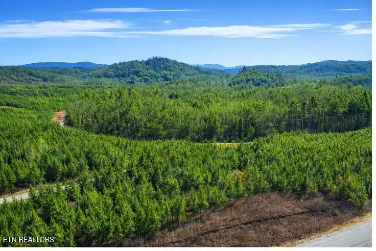 Ridgeline Dr, Vonore, TN 37885 - Image #1