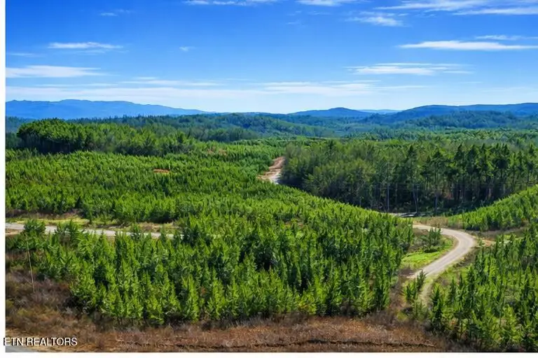 Ridgeline Dr, Vonore, TN 37885 - Image #2