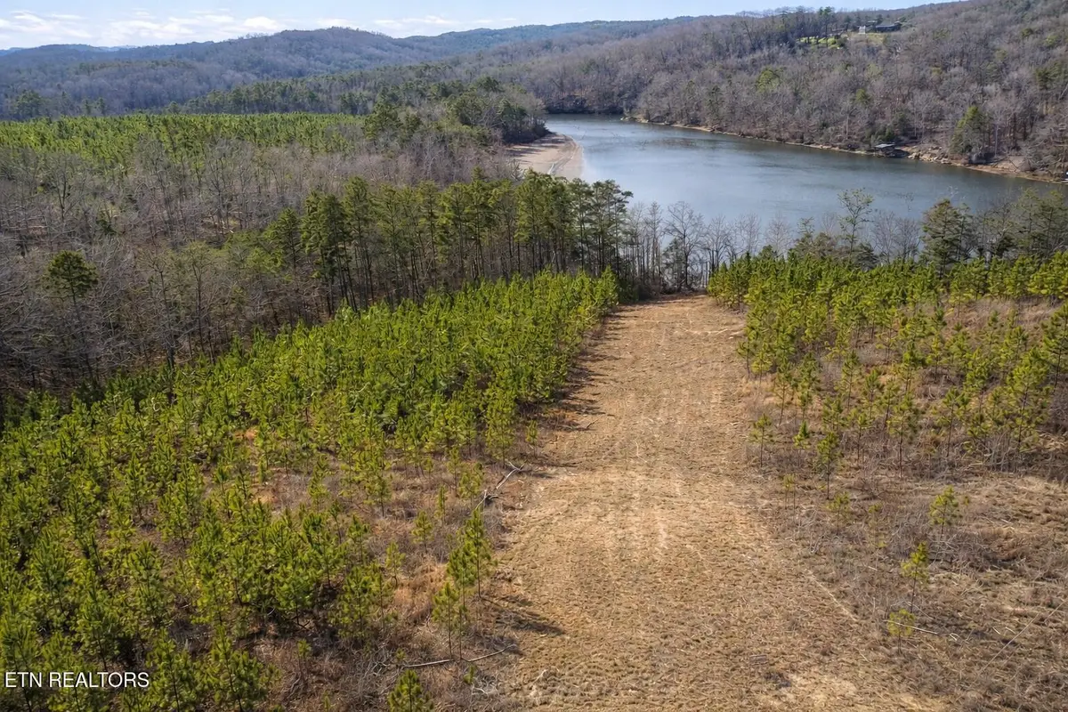 Saddleback Dr, Vonore, TN 37885 - Image #1