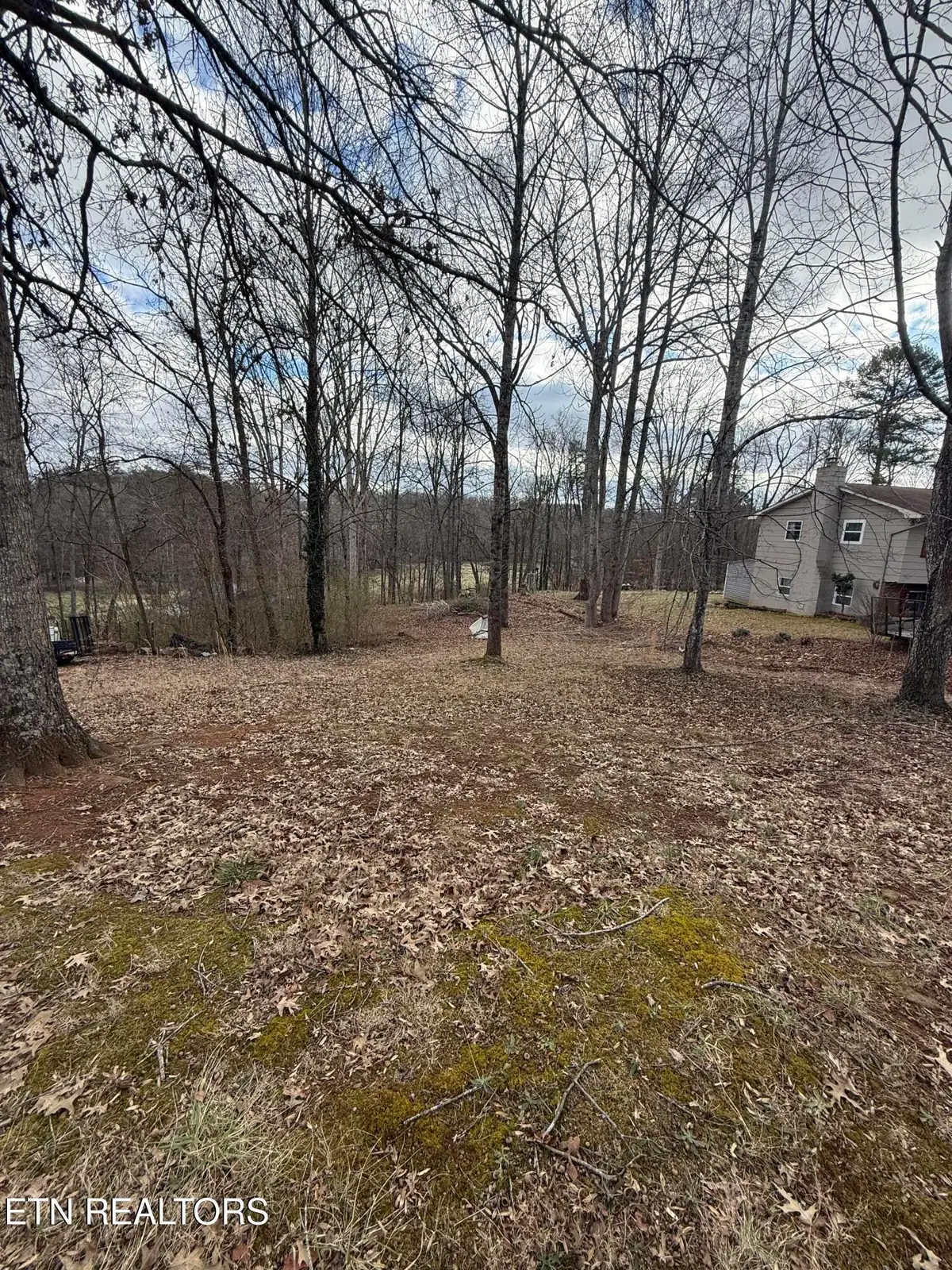 Melissa Lane, Maryville, TN 37801 - Image #1