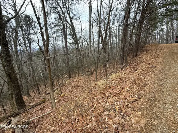 1.01 ac Green Forest Rd, Cosby, TN 37722