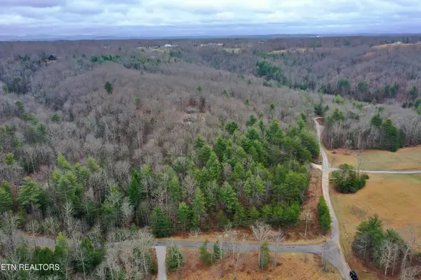 Bear Hollow Rd, Oneida, TN 37841