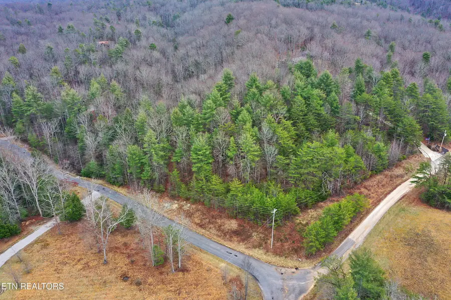 Bear Hollow Rd, Oneida, TN 37841 - Image #2