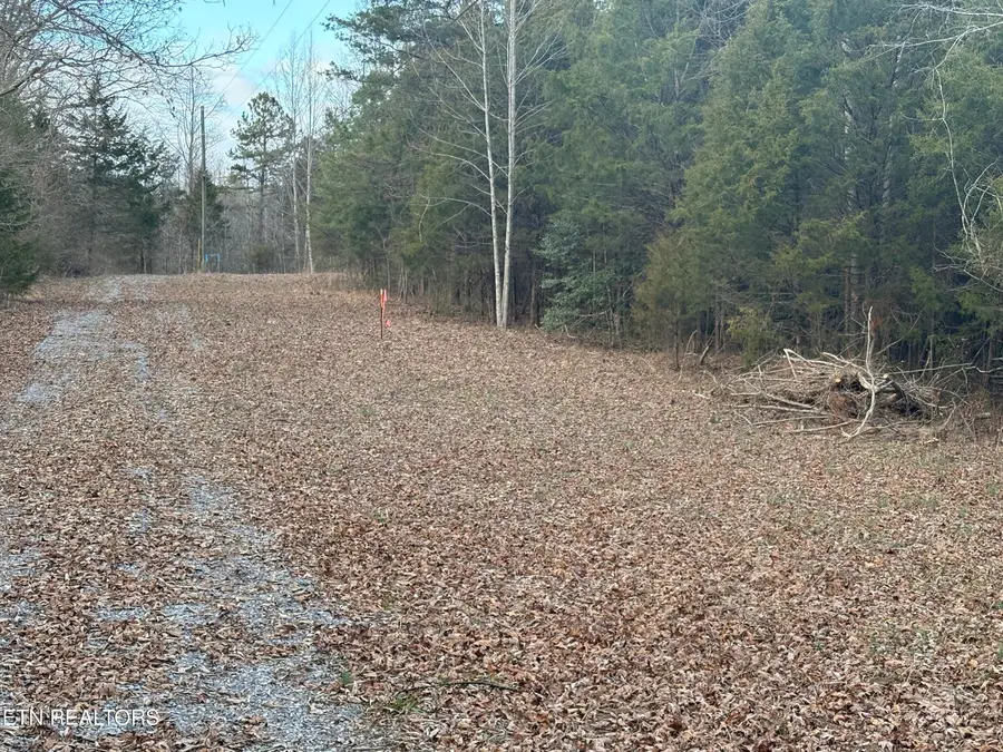 W Lamar Alex Pkwy, Friendsville, TN 37737 - #3