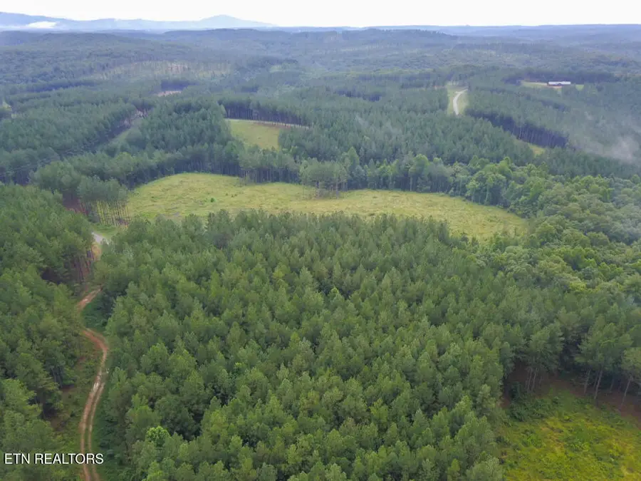 59 Union Hill Rd, Sunbright, TN 37872 - Image #2