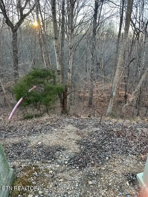 124 Old Hearth, Lafollette, TN 37766 - Image #1