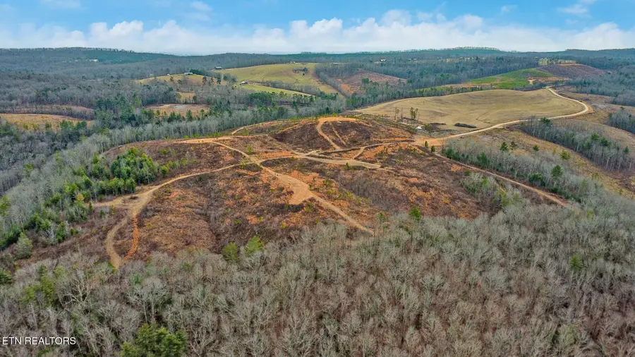 Possom Trot Rd. - Tract 5, Grandview, TN 37337 - Image #3