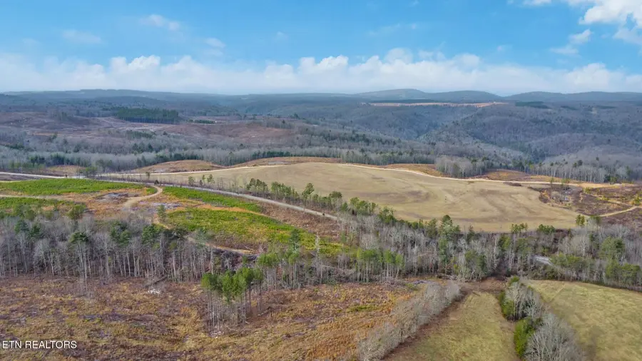 Possom Trot Rd. - Tract 9, Grandview, TN 37337 - Image #2