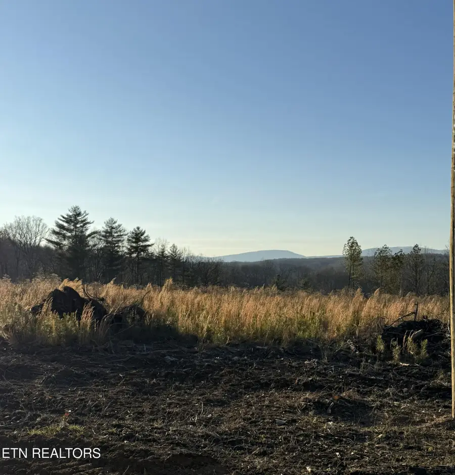 Possum Trot Rd. - Tract 10, Grandview, TN 37337 - Image #2