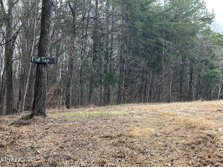 Tract 19 Pleasant View Cemetery Rd, New Market, TN 37820 - Image #3