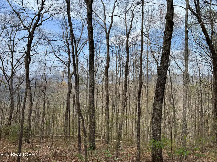 Lot 49 Patriot Lane, Sevierville, TN 37862 - Image #3