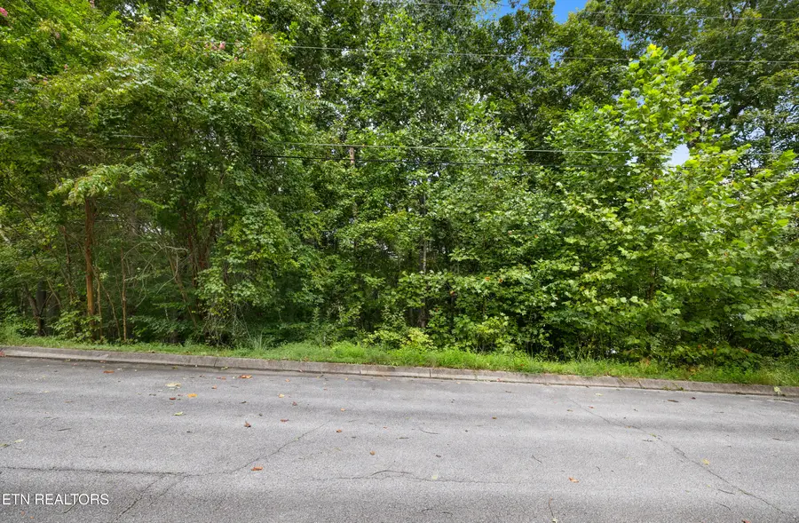 12 Hawthorn Place, Norris, TN 37828 - Image #2