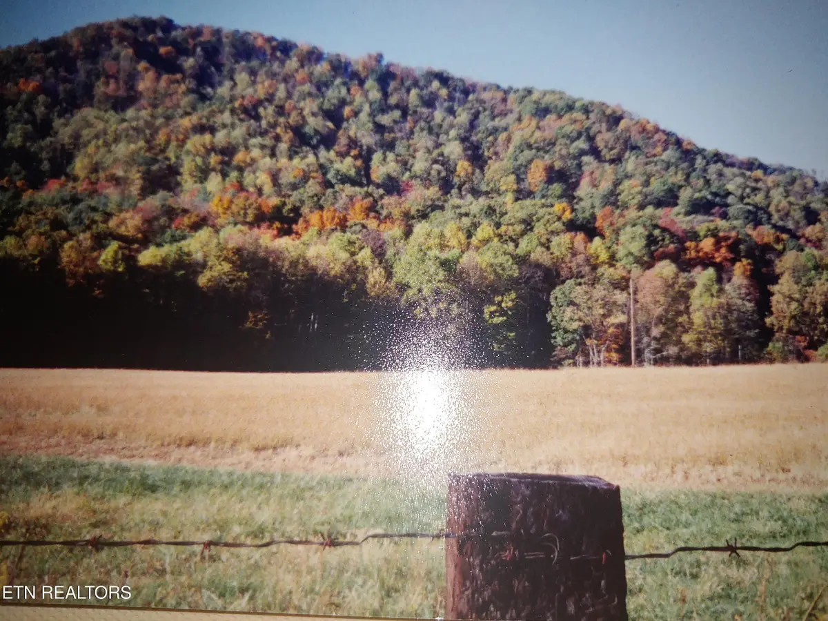 Mill Creek Rd, Sunbright, TN 37872 - Image #1