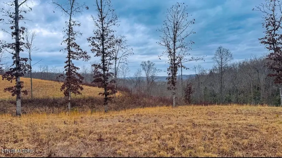 1682 Clifty Creek Rd, Winfield, TN 37892 - Image #2