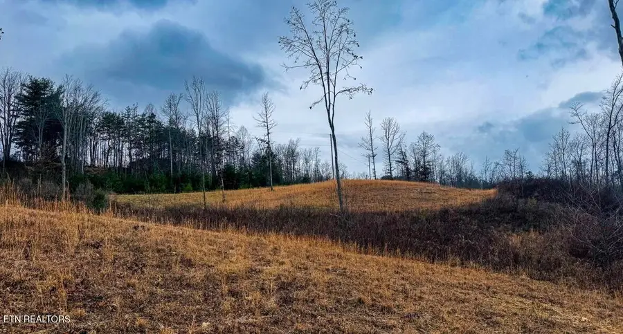 1682 Clifty Creek Rd, Winfield, TN 37892 - Image #3