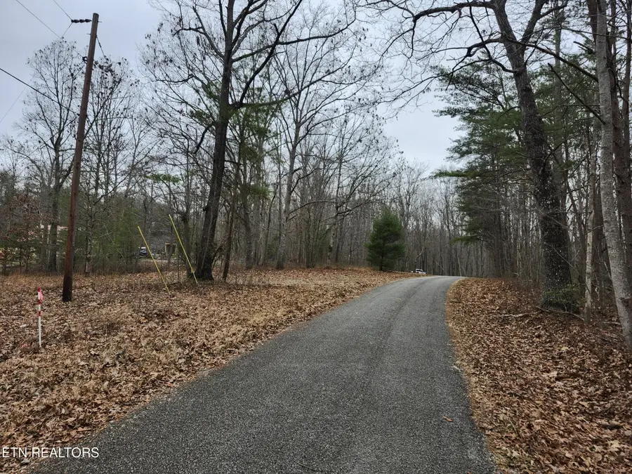 Peacock Lane, Deer Lodge, TN 37726 - #2