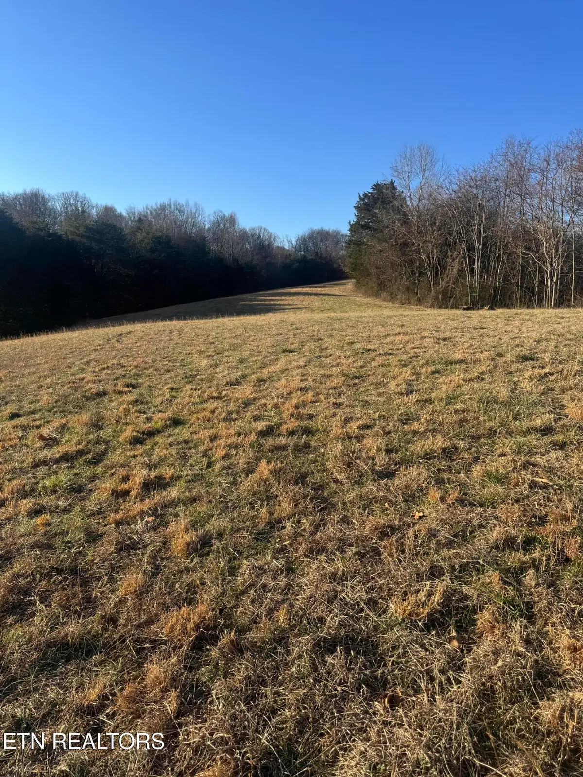 2490 Whittle Lot 4 Rd, New Market, TN 37820 - Image #1