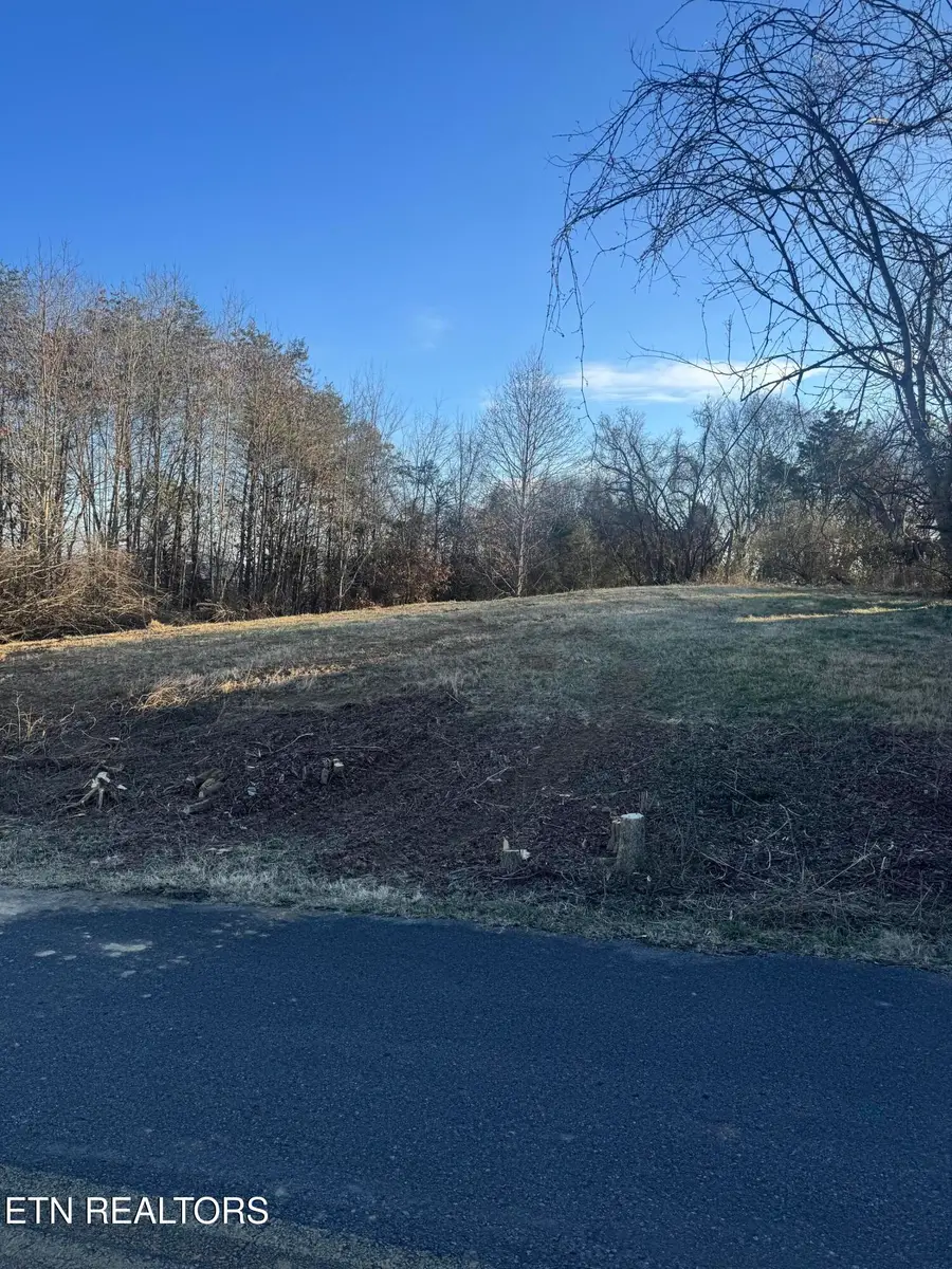 2490 Whittle Lot 4 Rd, New Market, TN 37820 - Image #2
