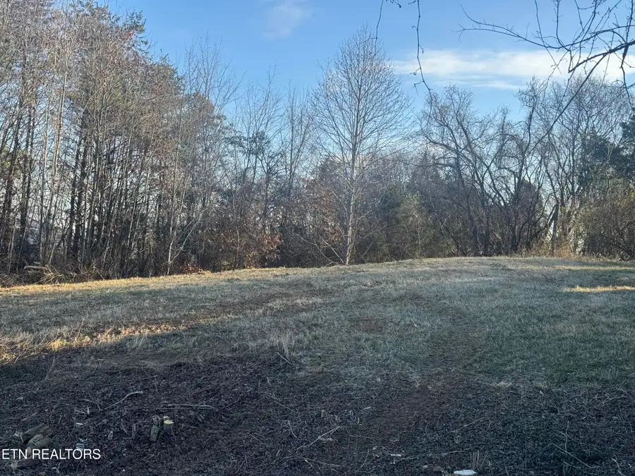 2490 Whittle Lot 4 Rd, New Market, TN 37820 - Image #3