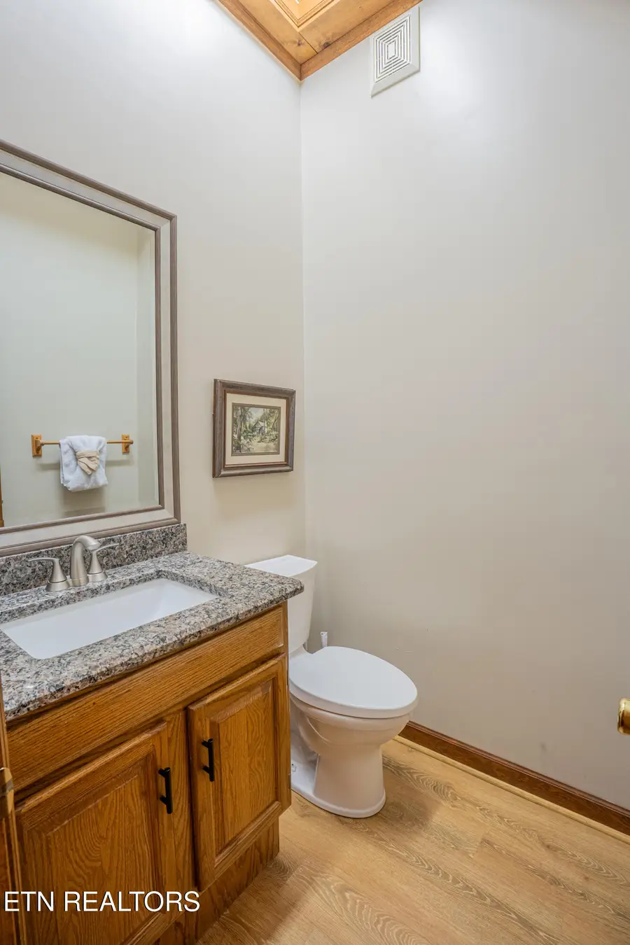 317 Matterhorn Drive, Gatlinburg, TN 37738 - Image #3