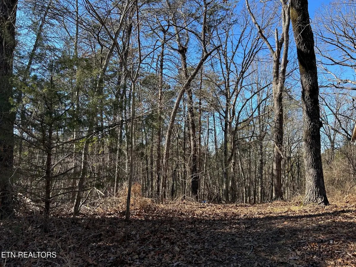 5737 Rest Camp Rd, Lenoir City, TN 37772 - Image #1