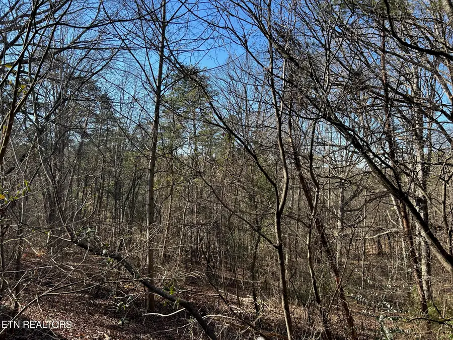 5737 Rest Camp Rd, Lenoir City, TN 37772 - Image #3