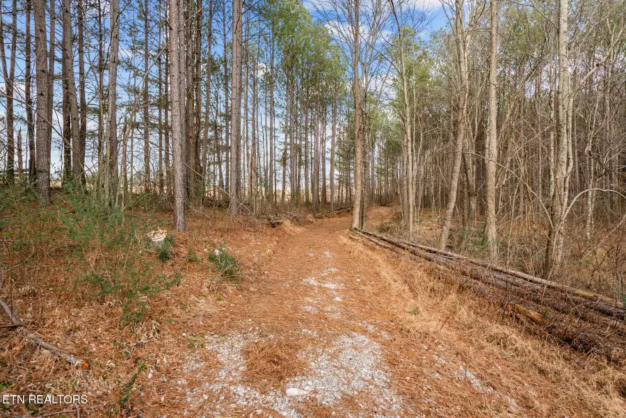185 Mt Vernal Rd, Rockwood, TN 37854 - #2