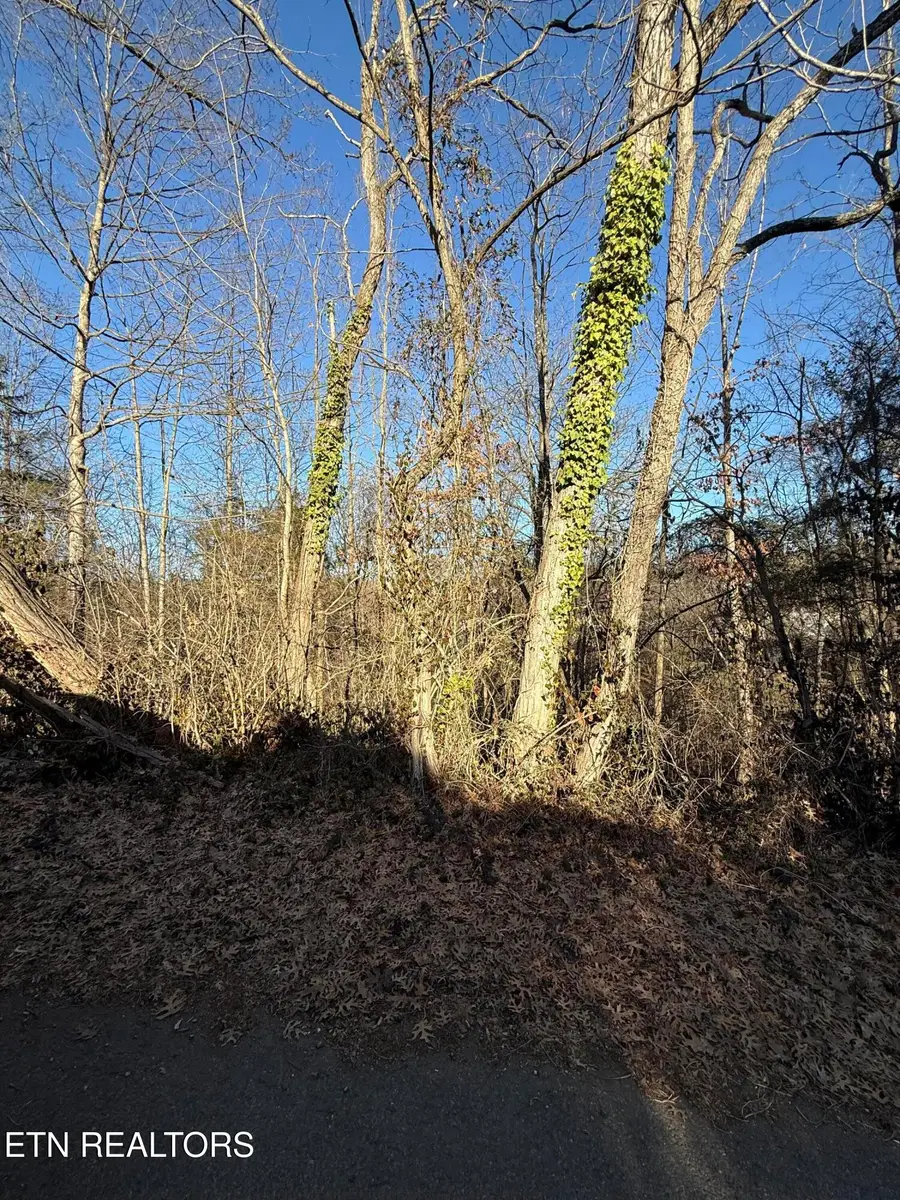 0 Edgar St, Knoxville, TN 37996 - Image #3