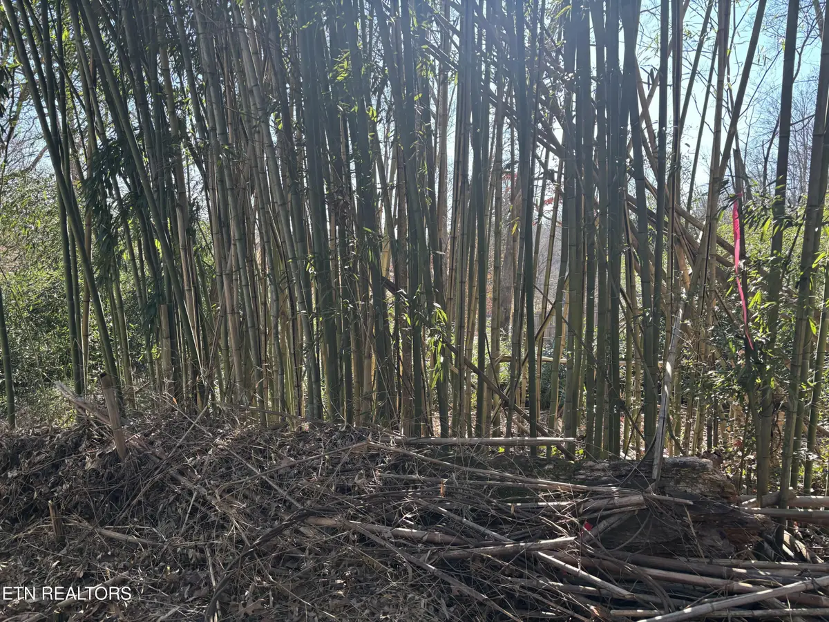 1153 Army St, Knoxville, TN 37920 - Image #1