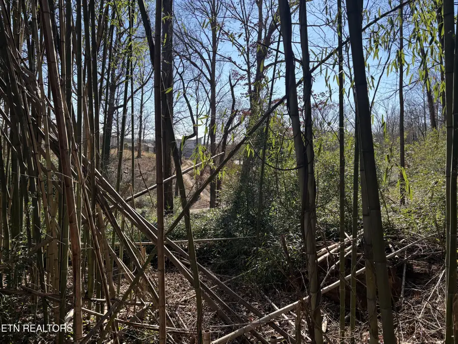 1153 Army St, Knoxville, TN 37920 - Image #3