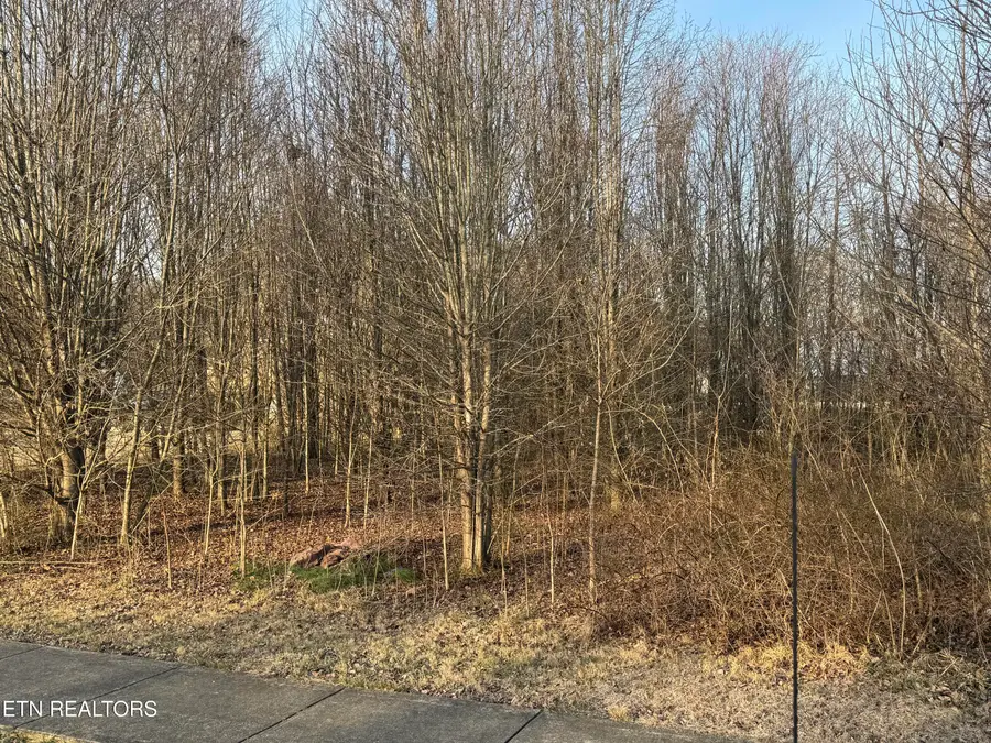 211 Babcock St, Tellico Plains, TN 37385 - Image #2