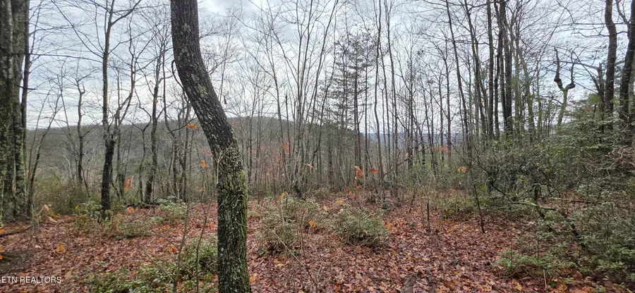 778 Eastridge Pass, Monterey, TN 38574 - Image #2