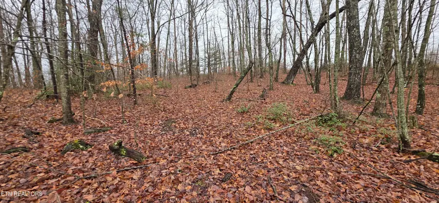 778 Eastridge Pass, Monterey, TN 38574 - Image #3