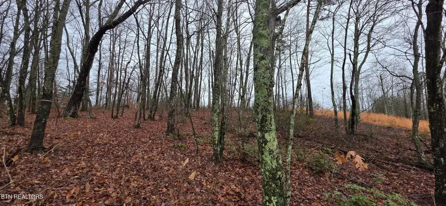 786 Eastridge Pass, Monterey, TN 38574 - Image #3